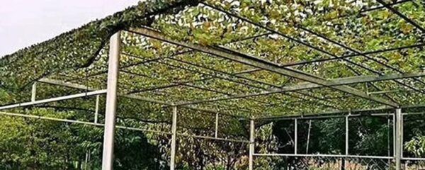 filet de camouflage pergola